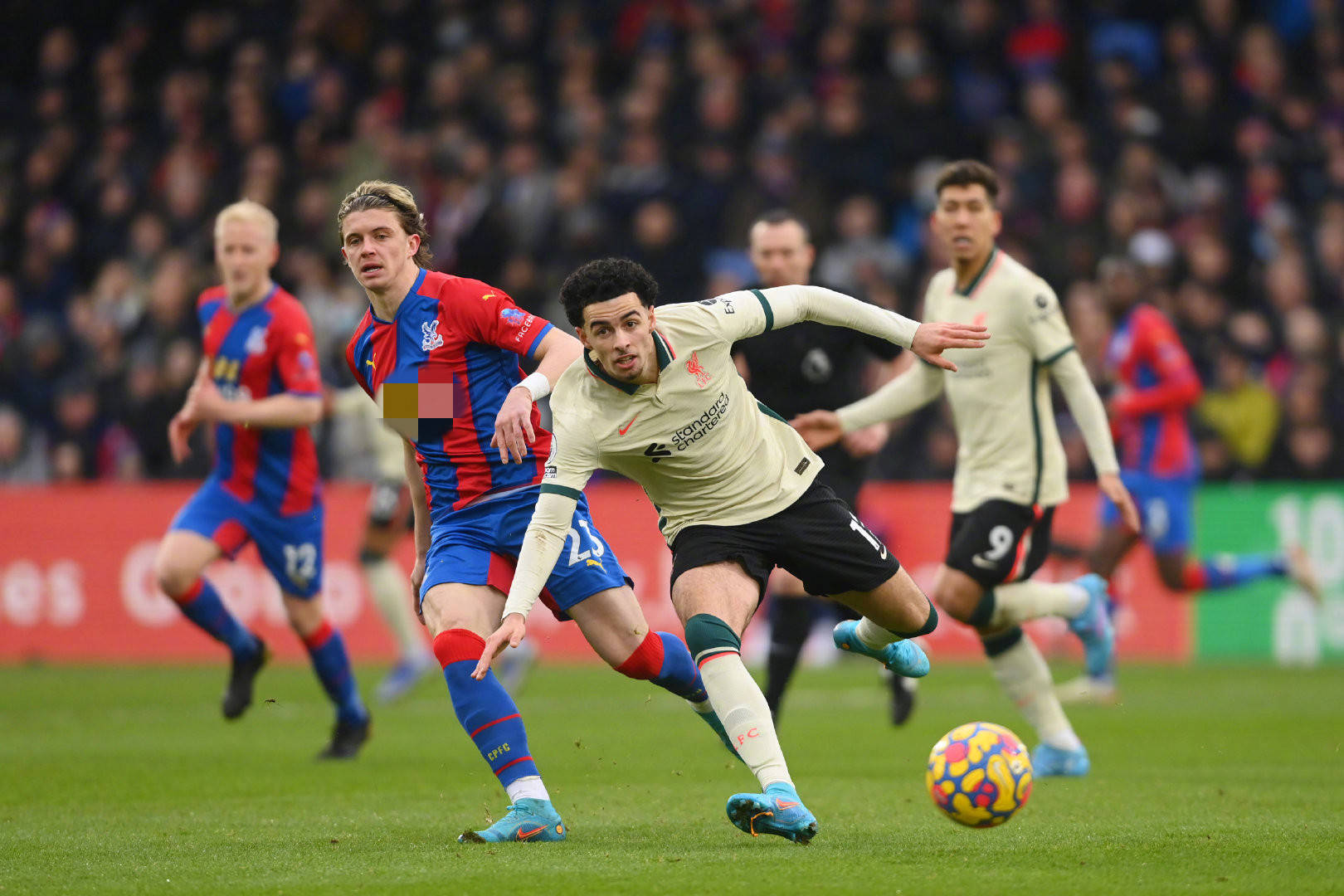 但这并不意 但这并不意